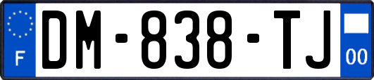 DM-838-TJ