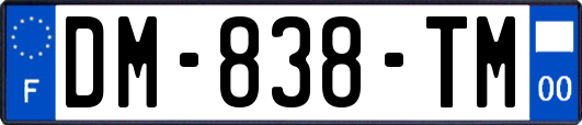 DM-838-TM
