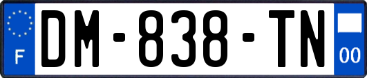DM-838-TN