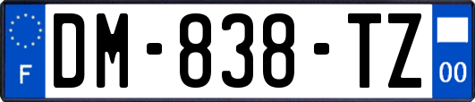 DM-838-TZ