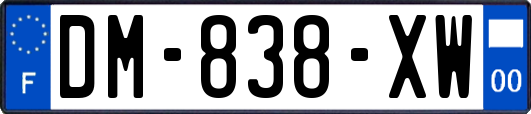 DM-838-XW