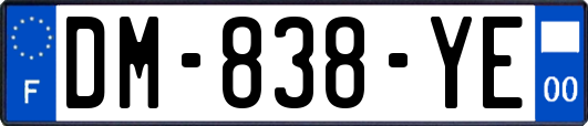 DM-838-YE