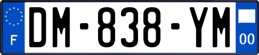 DM-838-YM