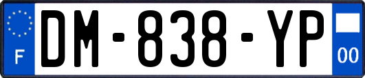 DM-838-YP