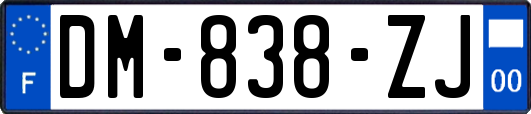 DM-838-ZJ