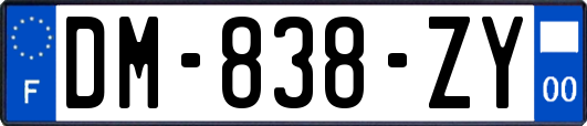 DM-838-ZY