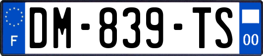 DM-839-TS