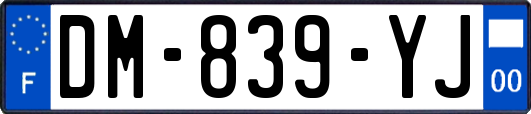 DM-839-YJ