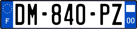 DM-840-PZ