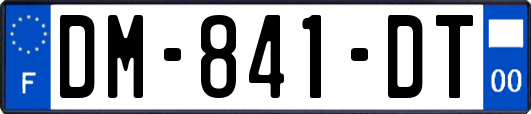 DM-841-DT