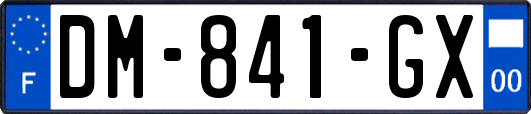 DM-841-GX