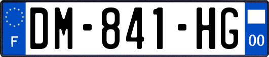 DM-841-HG