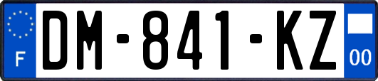 DM-841-KZ