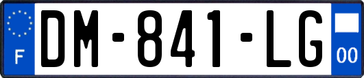 DM-841-LG