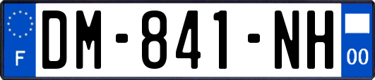 DM-841-NH
