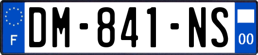 DM-841-NS