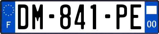 DM-841-PE