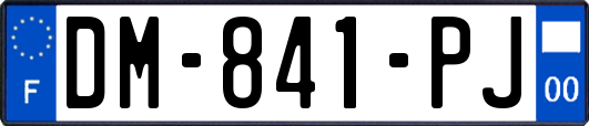 DM-841-PJ