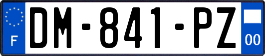 DM-841-PZ