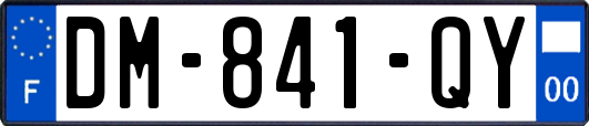 DM-841-QY