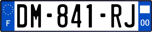 DM-841-RJ