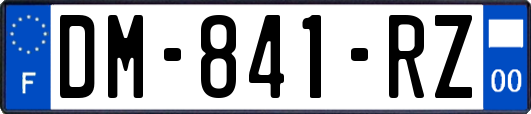 DM-841-RZ