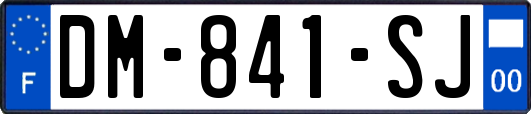 DM-841-SJ