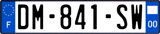 DM-841-SW