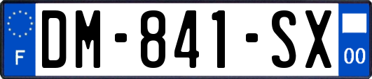 DM-841-SX
