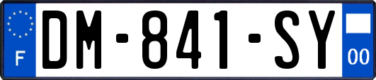 DM-841-SY