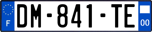 DM-841-TE