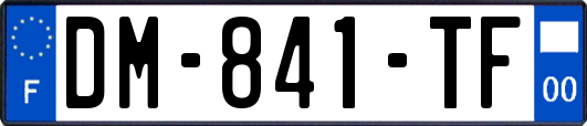 DM-841-TF