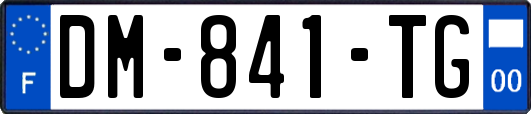 DM-841-TG