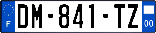 DM-841-TZ