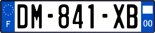 DM-841-XB