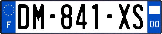 DM-841-XS