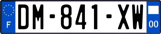 DM-841-XW