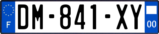 DM-841-XY