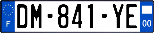 DM-841-YE