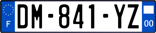 DM-841-YZ