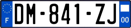 DM-841-ZJ