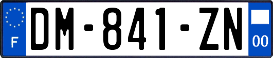 DM-841-ZN