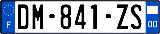 DM-841-ZS