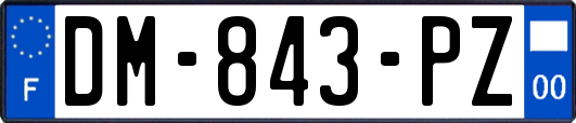 DM-843-PZ