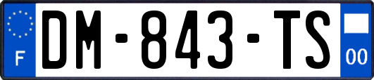 DM-843-TS