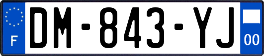 DM-843-YJ