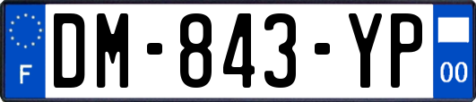 DM-843-YP