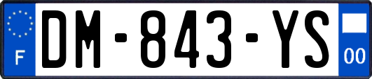 DM-843-YS