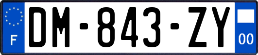 DM-843-ZY