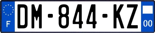 DM-844-KZ